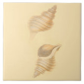 Seethema-Keramik deckt Muscheln mit Ziegeln Fliese (Vorderseite)