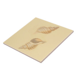 Seethema-Keramik deckt Muscheln mit Ziegeln Fliese