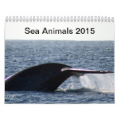Seetiere 2015 kalender (Titelbild)