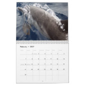 Seetiere 2015 kalender (Feb 2027)