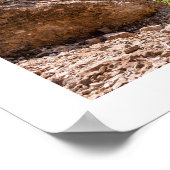 Seetourvel Poster (Ecke)