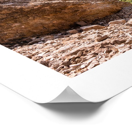 Seetourvel Poster (Ecke)