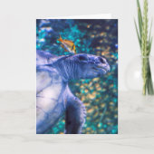 SEETURTLE MANICY KARTE (Vorderseite)