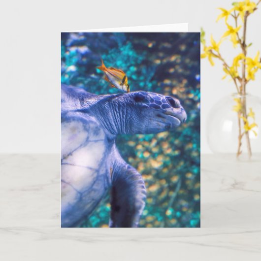 SEETURTLE MANICY KARTE (Gelbe Blume)