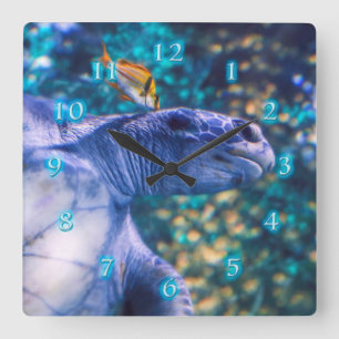 SEETURTLE MANICY QUADRATISCHE WANDUHR