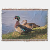 Seeufer, Holzente Decke (Vorderseite)