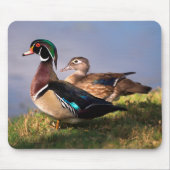Seeufer, Holzente Mousepad (Vorne)