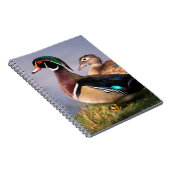 Seeufer, Holzente Notizblock (Rechte Seite)