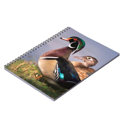 Seeufer, Holzente Notizblock (Linke Seite)