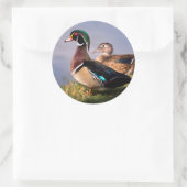 Seeufer, Holzente Runder Aufkleber (Tasche)