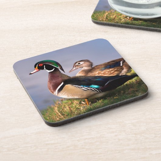 Seeufer, Holzente Untersetzer (Linke Seite)