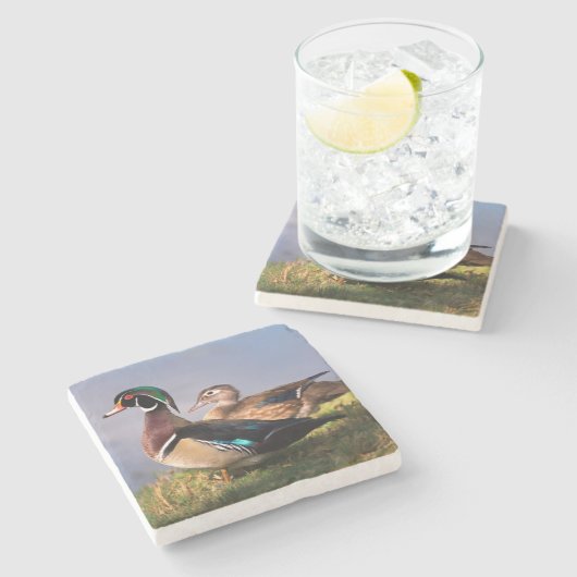 Seeufer, hölzerne Ente Steinuntersetzer (Seitenansicht)