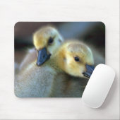 Seeufer Mousepad (Mit Mouse)