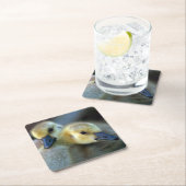 Seeufer Rechteckiger Pappuntersetzer (Vor Ort)