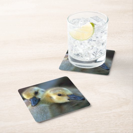 Seeufer Rechteckiger Pappuntersetzer (Vor Ort)