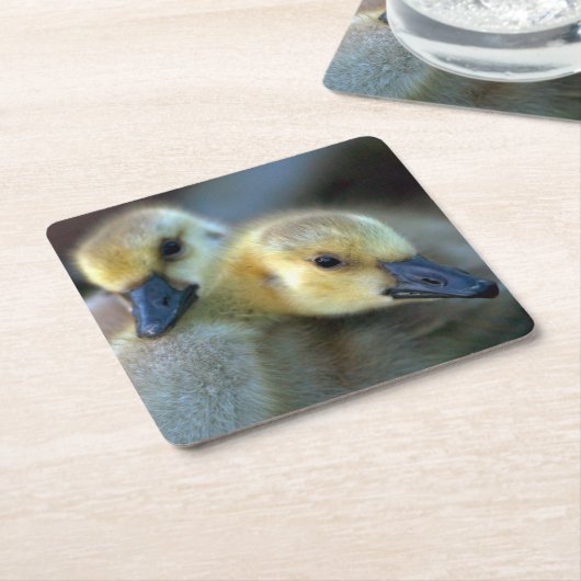 Seeufer Rechteckiger Pappuntersetzer (angewinkelt)