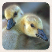 Seeufer Rechteckiger Pappuntersetzer (Vorderseite)