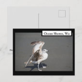 Seeufer, Wa Seagull Flügel Postkarte (Vorne/Hinten)