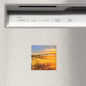 Seeuferfeld Magnet (In Situ (Geschirrspüler))