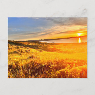 Seeuferfeld Postkarte