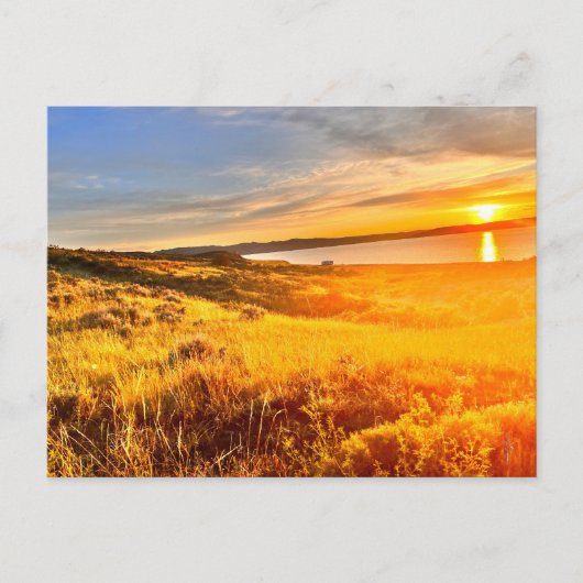 Seeuferfeld Postkarte (Vorderseite)