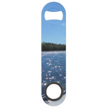 Seevermilions-funkelndes blaues Wasser