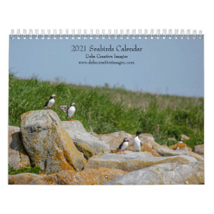 Seevögel auf Machias Siegel Island 2021 Kalender