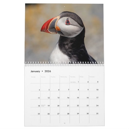 Seevögel auf Machias Siegel Island 2026 Kalender (Jan 2026)