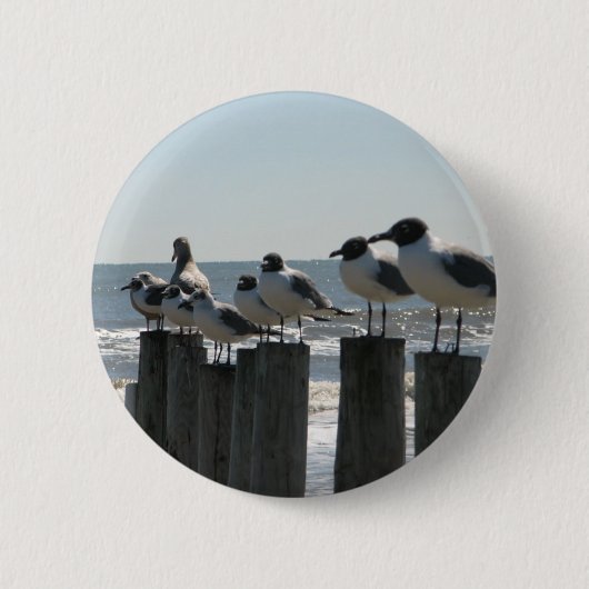 SEEvögel Button (Vorderseite)