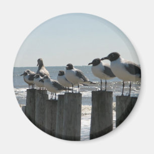 SEEvögel Magnet