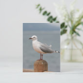 Seevogel Postkarte (Stehend Vorderseite)