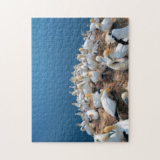 Seevögel Puzzle (Vertikal)