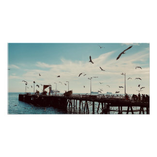 Seevögel über dem Pier Poster