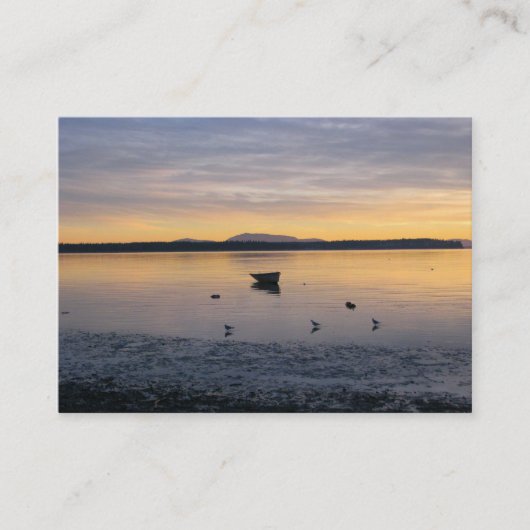 Seevögel und -boot visitenkarte (Vorderseite)