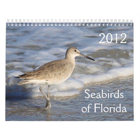 Seevögel von Florida 2012 Kalender (Titelbild)