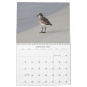Seevögel von Florida 2012 Kalender (Jan 2027)
