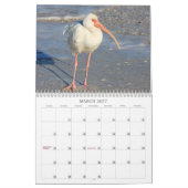 Seevögel von Florida 2012 Kalender (Mär 2027)