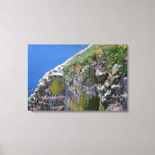 Seevogelkolonie auf felsiger Klippe Leinwanddruck