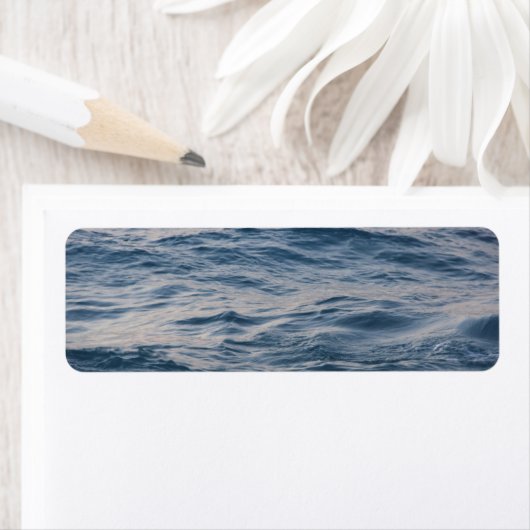 Seewasserdichte (Insitu)