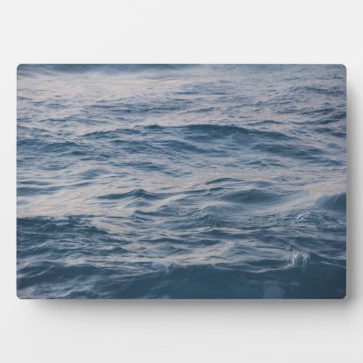 Seewasserdichte Fotoplatte (Vorderseite)