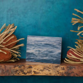 Seewasserdichte Fotoplatte (Seite)