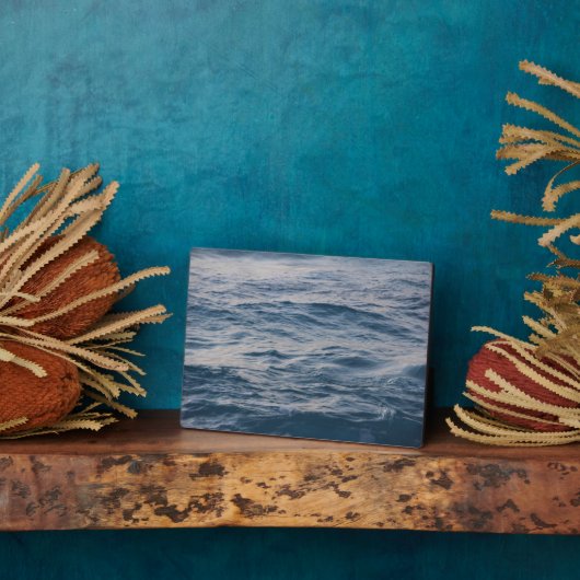 Seewasserdichte Fotoplatte (Seite)