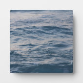 Seewasserdichte Fotoplatte (Vorderseite)