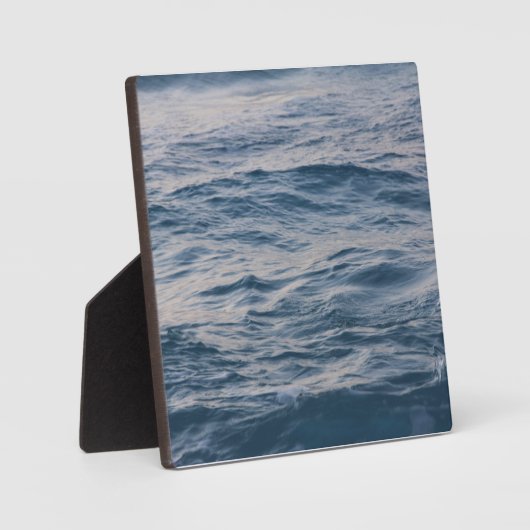 Seewasserdichte Fotoplatte (Vorderseite)