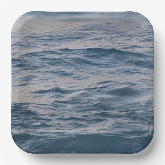 Seewasserdichte Pappteller (Vorderseite)