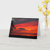 Seewinnebago-Sonnenuntergang erhalten gut bald Karte (Gelbe Blume)