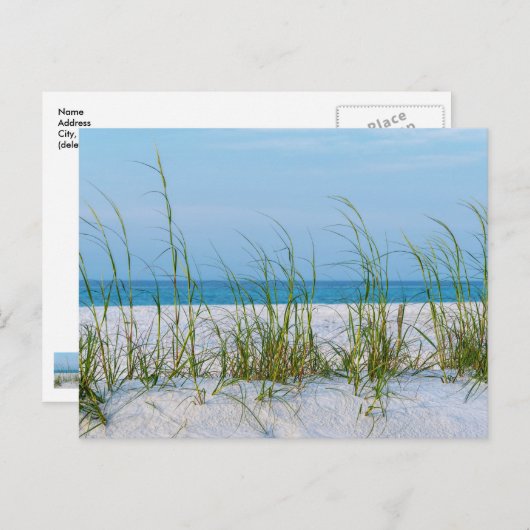 Seeziegel auf weißem Sand Postkarte (Vorne/Hinten)