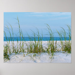 Seeziegel im weißen Sand Poster