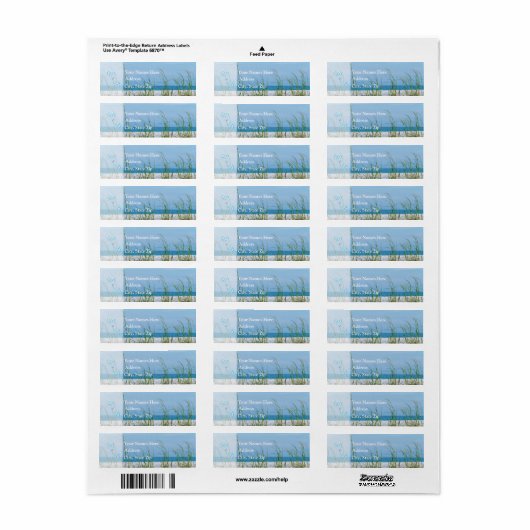 Seeziegel in weißem Sand (Vorne)