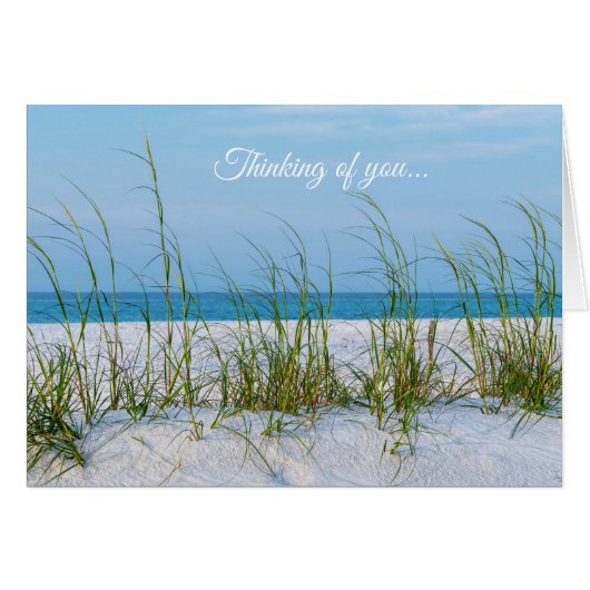 Seeziegel in weißem Sand, an U-Karte denken (Vorderseite (Horizontal))